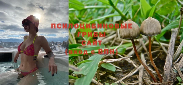 соль курить ск Алексеевка