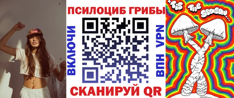 Галлюциногенные грибы мицелий  Купить где  Вытегра 